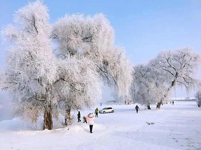 去哈尔滨旅游-哈尔滨旅游2021年攻略,个人亲测(景点+线路+费用+美食)-哈尔滨旅游最佳路线图