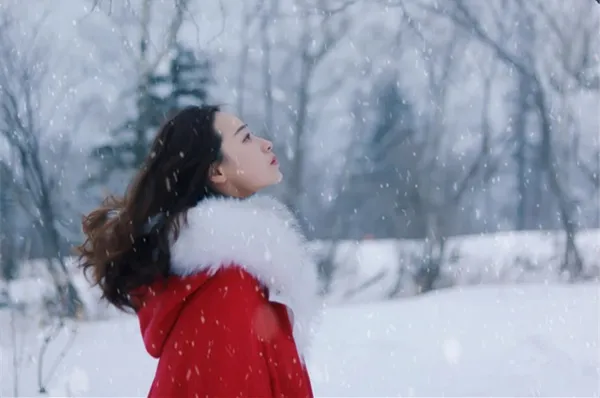 去哈尔滨旅游-哈尔滨旅游2021年攻略,个人亲测(景点+线路+费用+美食)-哈尔滨旅游最佳路线图