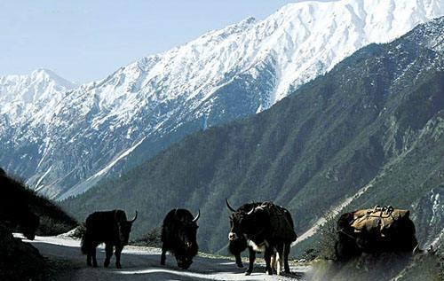 梅里雪山:藏传佛教四大神山之一,最让人向往的神秘之地!-梅里雪山在西藏还是云南