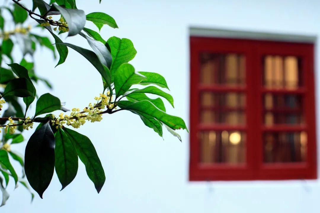 38副绝妙的对联,太绝了,忍不住分享到朋友圈-最巧妙对联大全