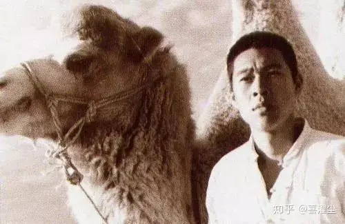 如何赏析《骆驼祥子》?-谈谈骆驼祥子这部作品的感受