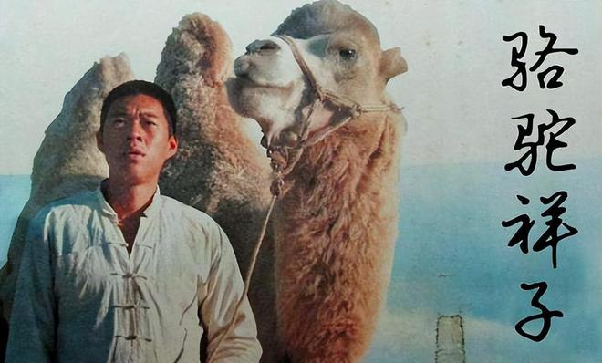 再读老舍的《骆驼祥子》:专制社会中权力的崇拜和民众的财富-老舍先生写骆驼祥子反映了怎样的社会现实