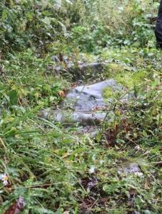 走进《蜀道难》中百步九折的青泥岭-蜀道难难上青天是谁写的