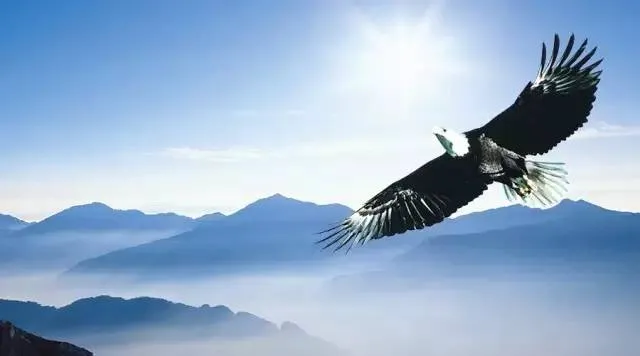 什么是脉冲?-什么是脉冲响应