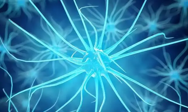 什么是脉冲,对于脉冲的了解你又了解多少呢?-脉冲什么意思?