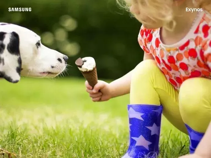 解码ISP:隐藏在手机芯片里的秘密-解码isp:隐藏在手机芯片里的秘密有哪些