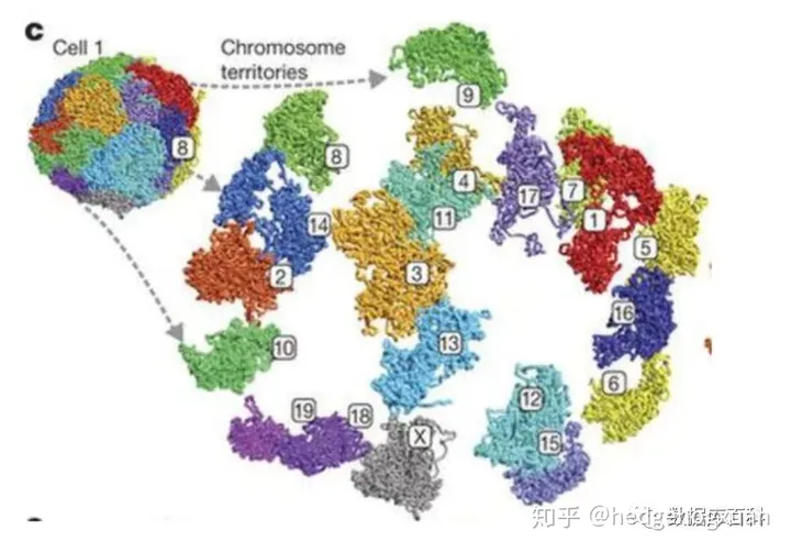 高通量测序技术极简介绍-高通量测序的用途