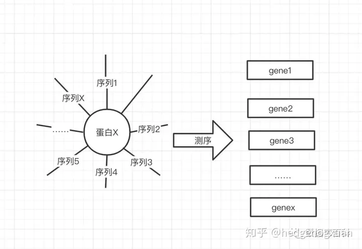 高通量测序技术极简介绍-高通量测序的用途