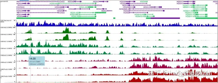 高通量测序技术极简介绍-高通量测序的用途