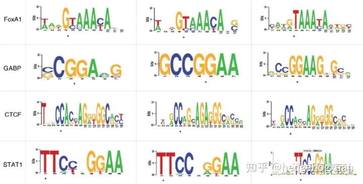 高通量测序技术极简介绍-高通量测序的用途