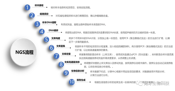 高通量测序(NGS)应用科普-高通量测序结果如何看懂