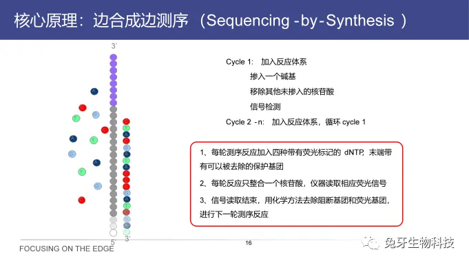 高通量测序(NGS)应用科普-高通量测序结果如何看懂