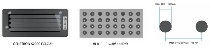 #微观探索人体奥秘#028 高通量测序技术-MGI测序-#高通量测序分析