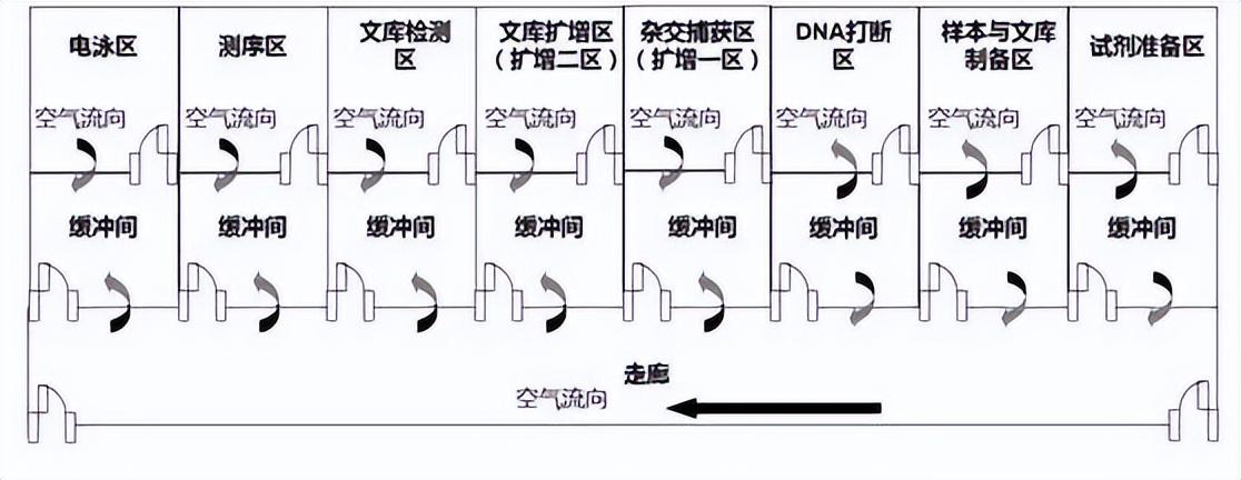 高通量测序(NGS)实验室各区设计为何完全分隔,还要单向气流?-高通量测序的应用