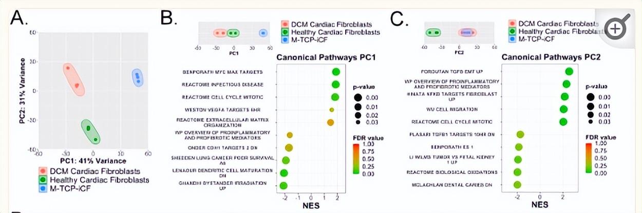 提升国自然创新性|高通量测序研究怎么做?带你文献里找思路-高通量测序操作流程
