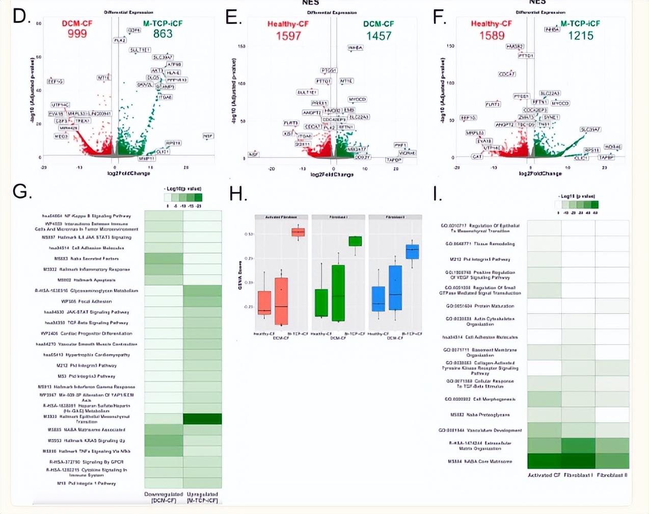 提升国自然创新性|高通量测序研究怎么做?带你文献里找思路-高通量测序操作流程