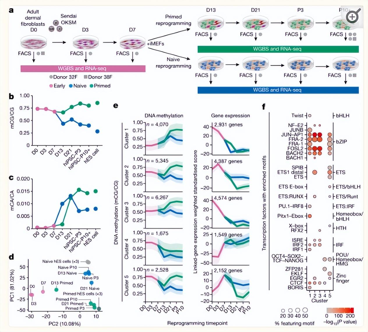 提升国自然创新性|高通量测序研究怎么做?带你文献里找思路-高通量测序操作流程