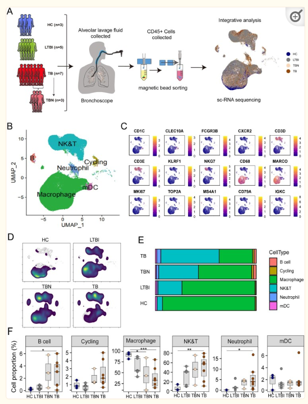 提升国自然创新性|高通量测序研究怎么做?带你文献里找思路-高通量测序操作流程