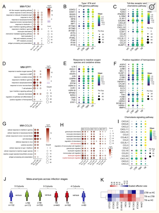 提升国自然创新性|高通量测序研究怎么做?带你文献里找思路-高通量测序操作流程