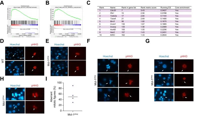 提升国自然创新性|高通量测序研究怎么做?带你文献里找思路-高通量测序操作流程