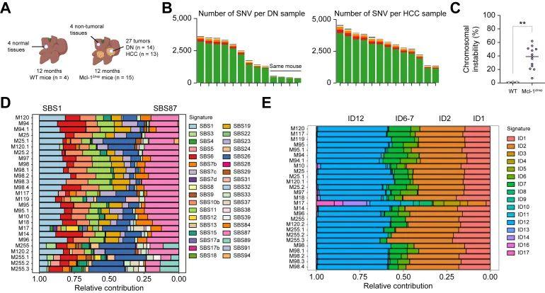 提升国自然创新性|高通量测序研究怎么做?带你文献里找思路-高通量测序操作流程