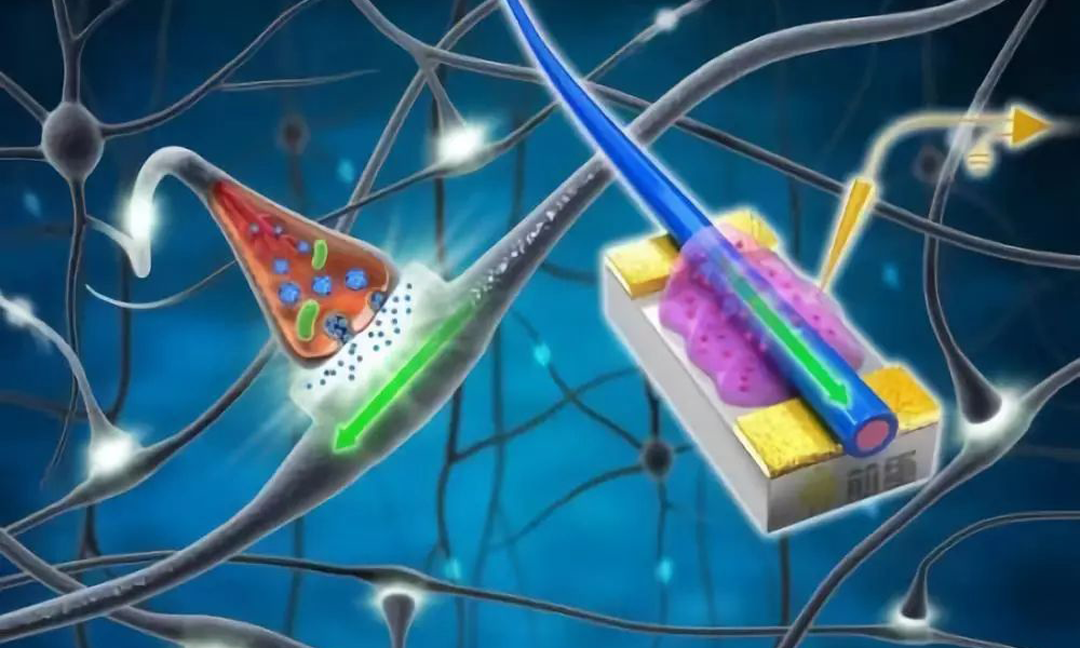 电和磁的舞步-电与磁的原理