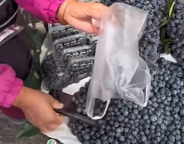 云南大理买蓝莓,女子质问六两按一斤卖,摊主:我们这里就是这样