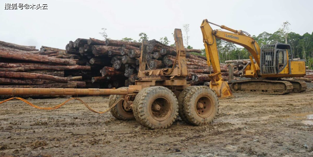 连续超越法国,接近俄罗斯!所罗门群岛对中国原木出口稳住增长