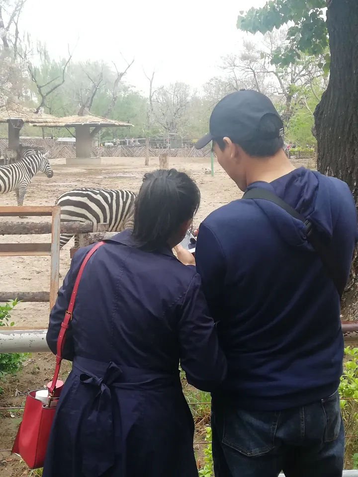 为什么癌症往往一发现就是晚期?