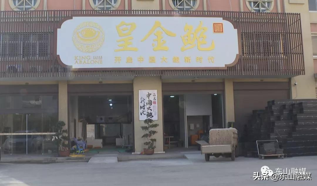 国家级水产新品种!漳州东山皇金鲍火了