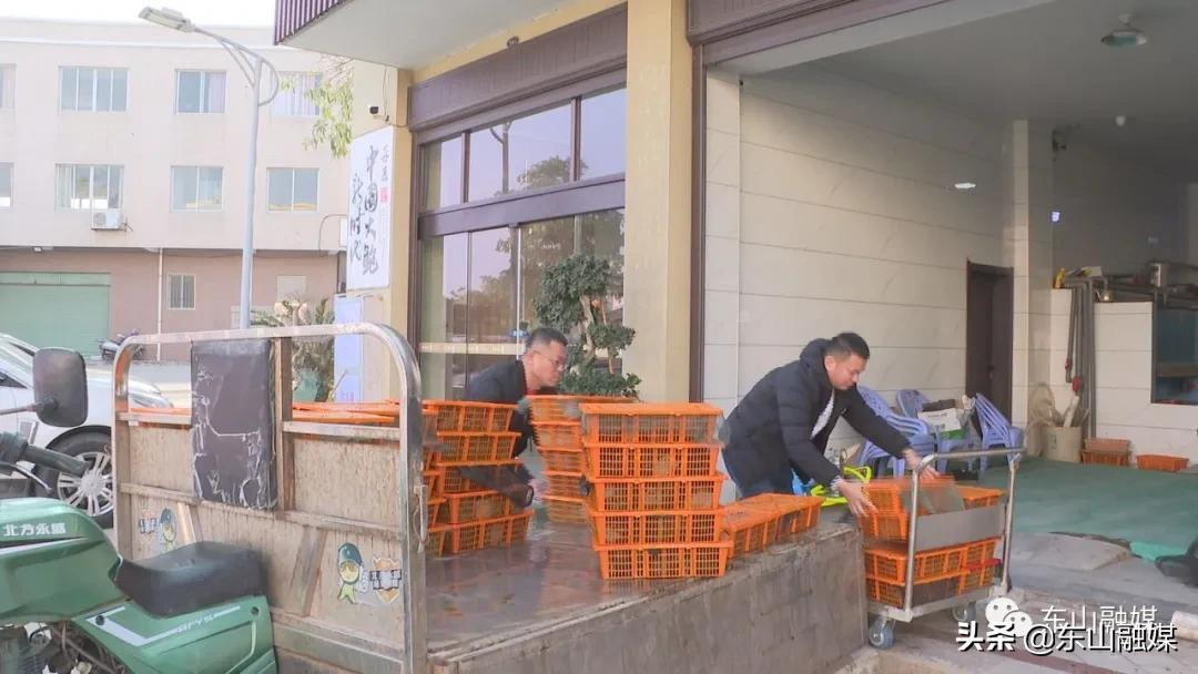 国家级水产新品种!漳州东山皇金鲍火了