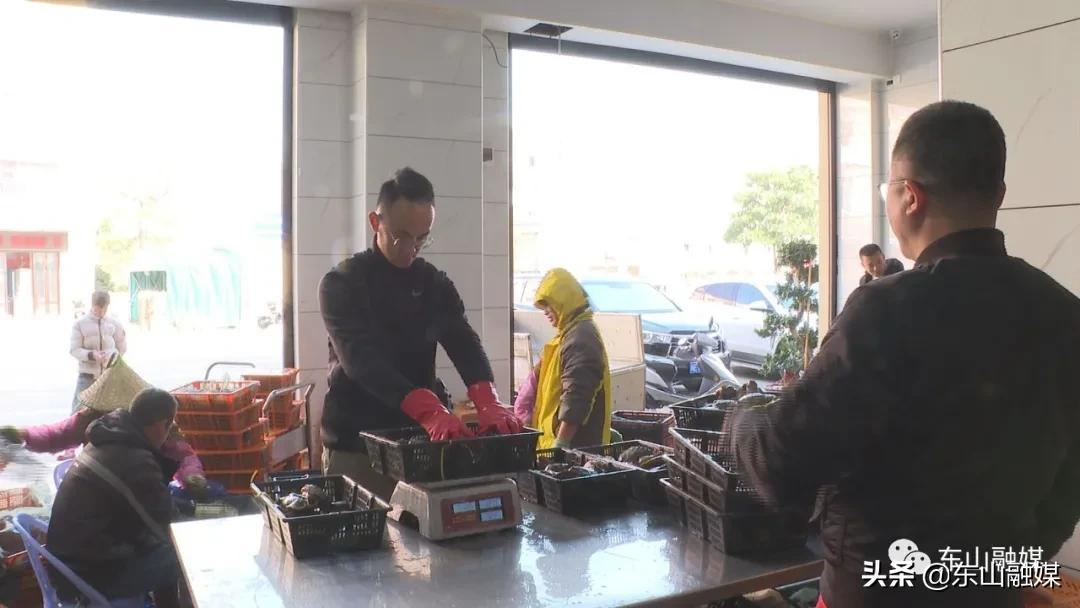 国家级水产新品种!漳州东山皇金鲍火了