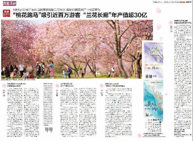 “桃花跑马”吸引近百万游客,“兰花长廊”年产值超30亿元