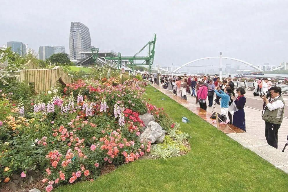 “繁花”满城,上海文旅长尾效应明显