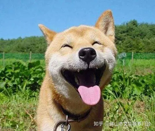 世界微笑日---微笑让生活更美好!