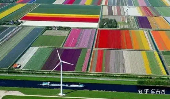 如何评价欧洲近代史上三大金融泡沫:荷兰郁金香泡沫,法国密西西比泡沫与英国南海泡沫?