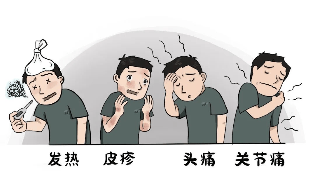 登革热疫情高发,出境游请注意!