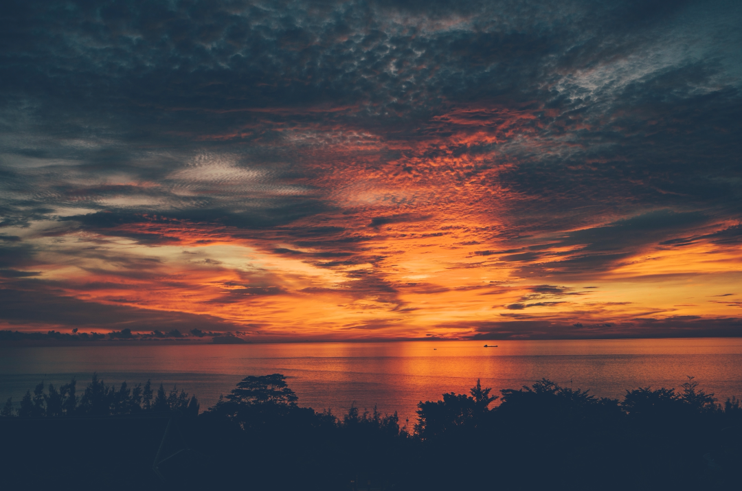 此景只应天上有,人间能得几回观