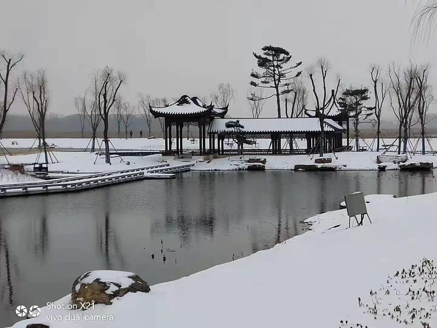 散文:此景只应天上有