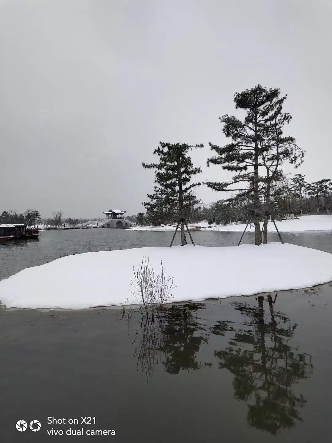 散文:此景只应天上有
