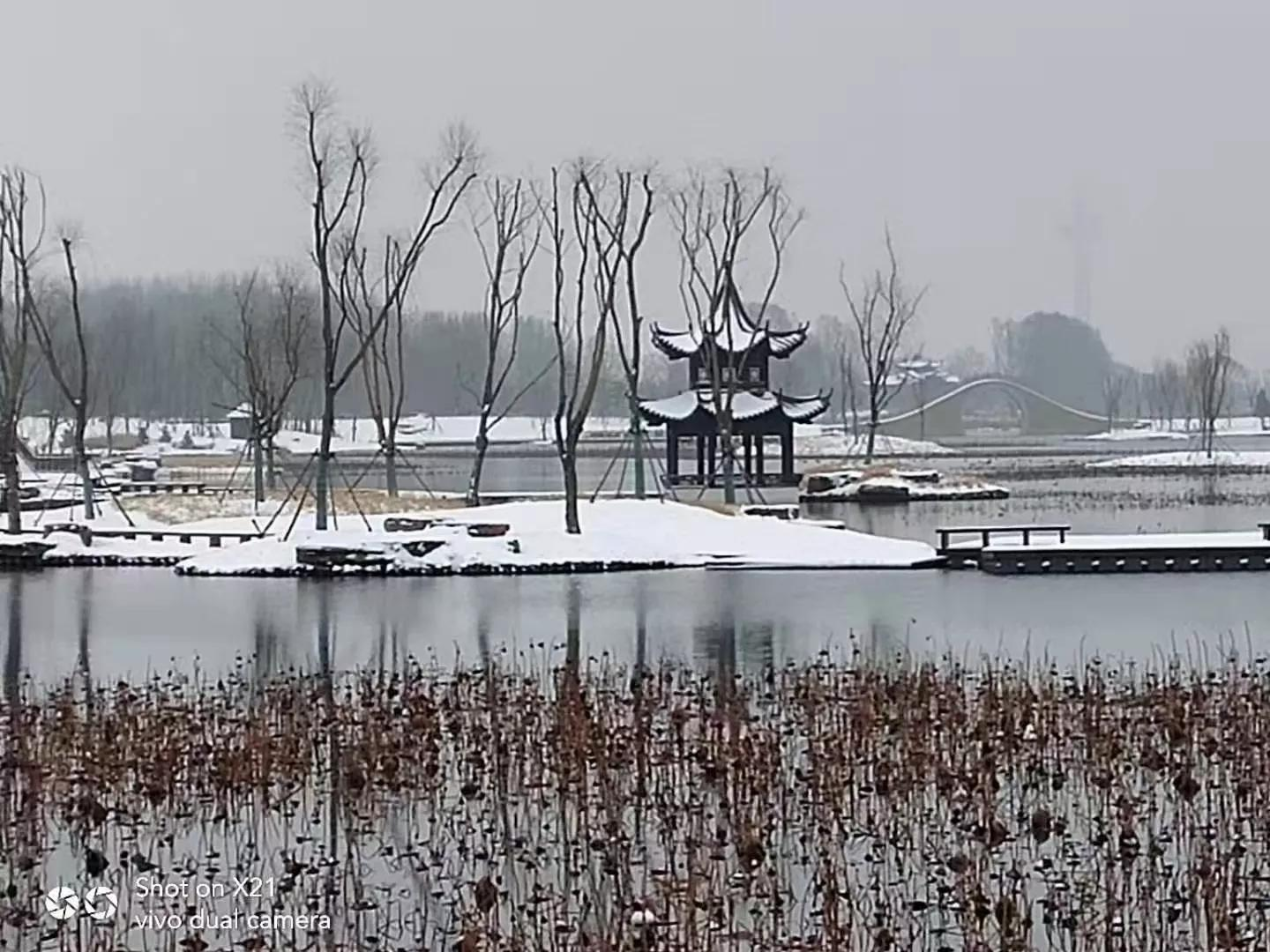 散文:此景只应天上有