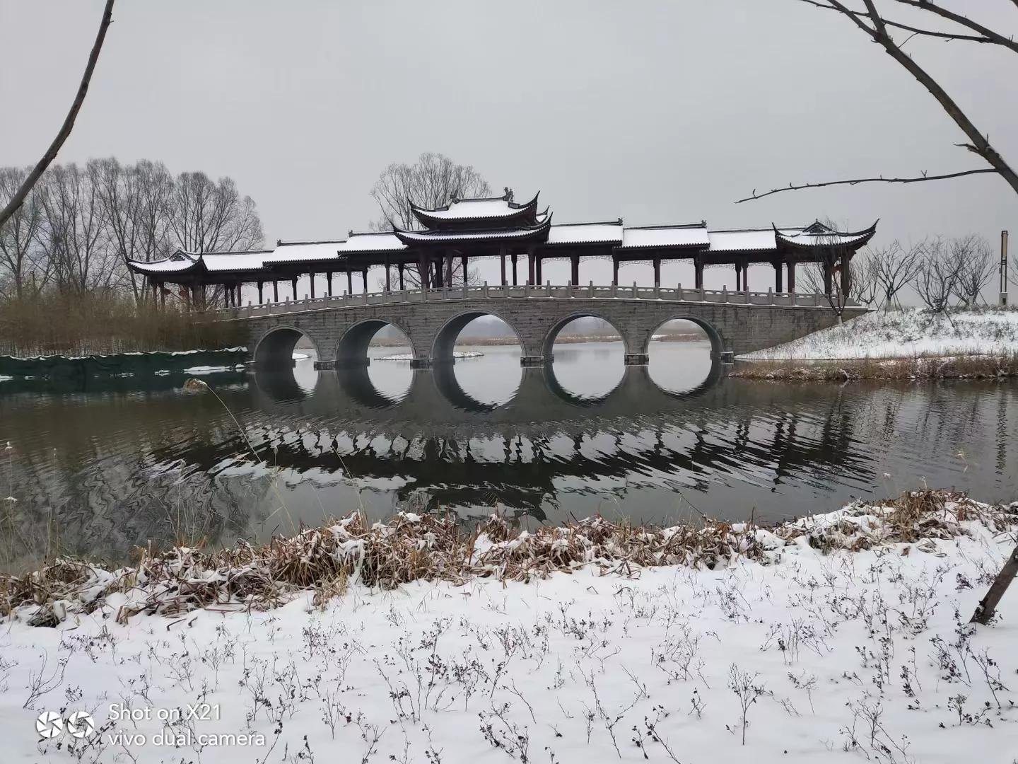 散文:此景只应天上有