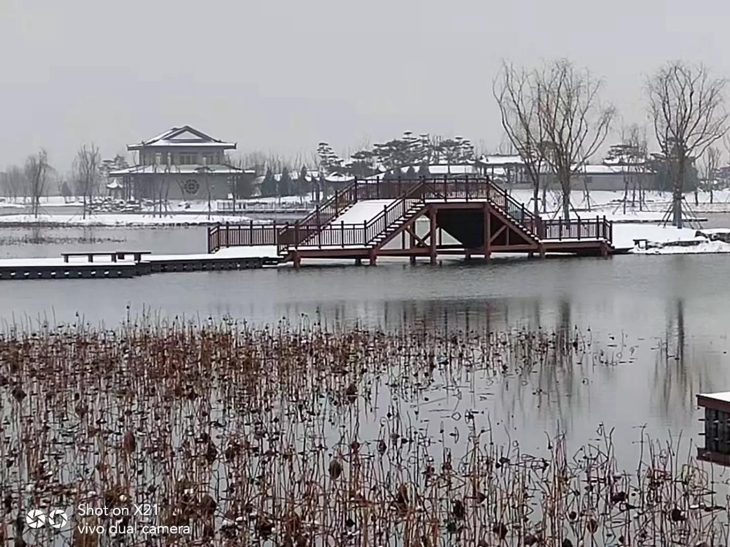 散文:此景只应天上有