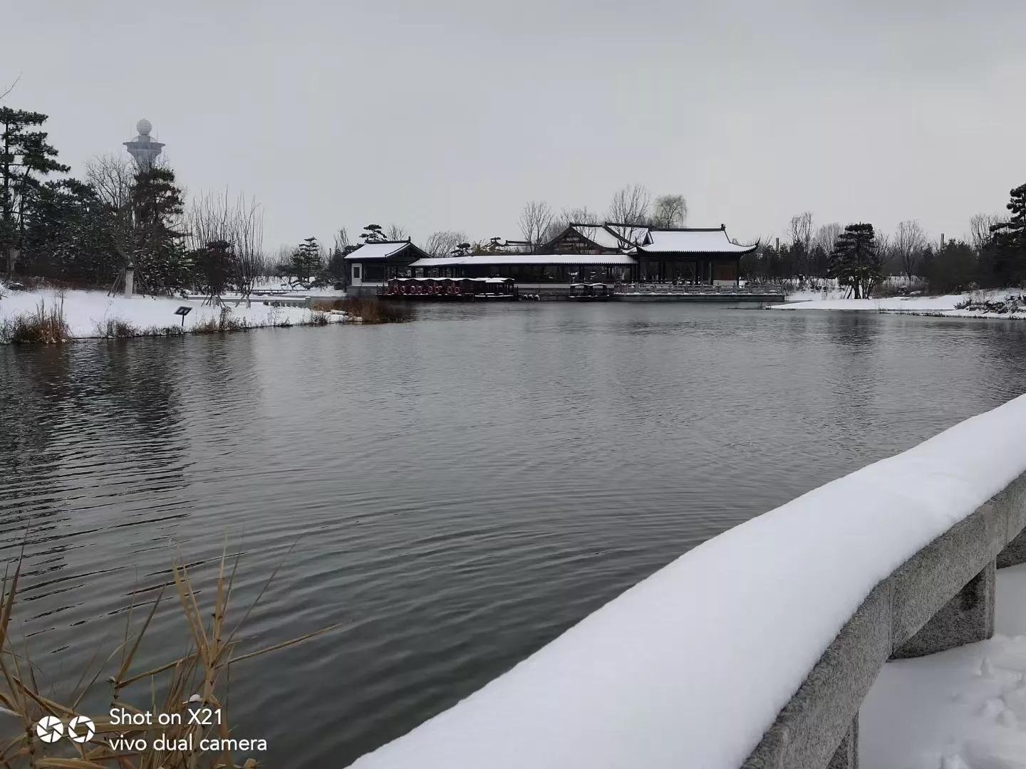 散文:此景只应天上有