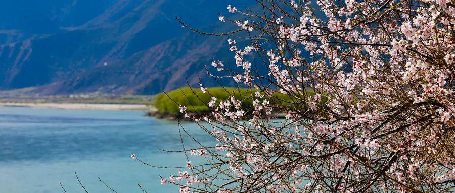 此景只应天上有,宛如仙境落凡尘