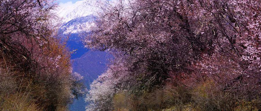 此景只应天上有,宛如仙境落凡尘