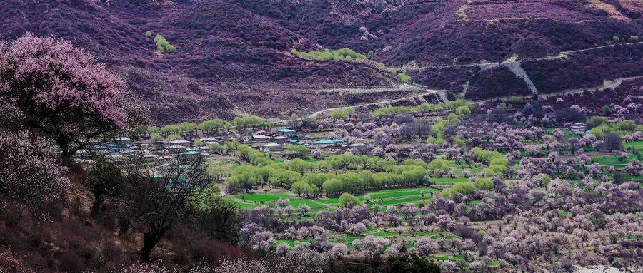 此景只应天上有,宛如仙境落凡尘