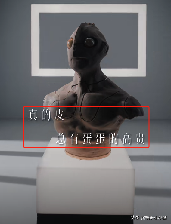 笑麻了,张雨绮连皮蛋都能代言成珠宝,我笑晕在评论区