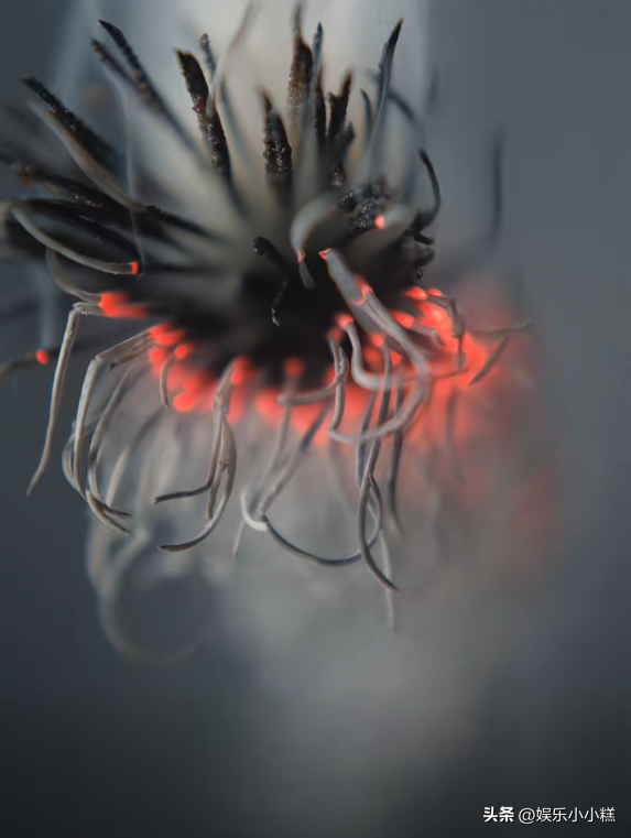 笑麻了,张雨绮连皮蛋都能代言成珠宝,我笑晕在评论区