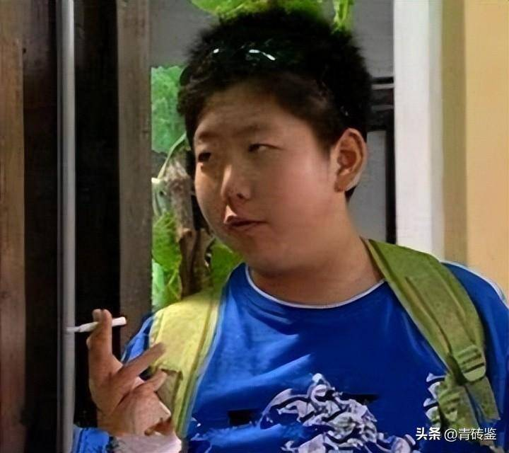 原创 《家有儿女》20年后小演员今昔对比,有人逆袭大火,有人默默无闻